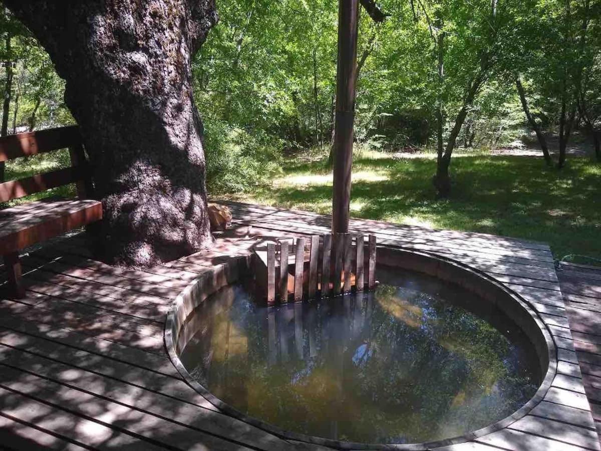 Agradable Casa Cerca De Las Termas De Chillan 拉斯特朗卡斯 外观 照片